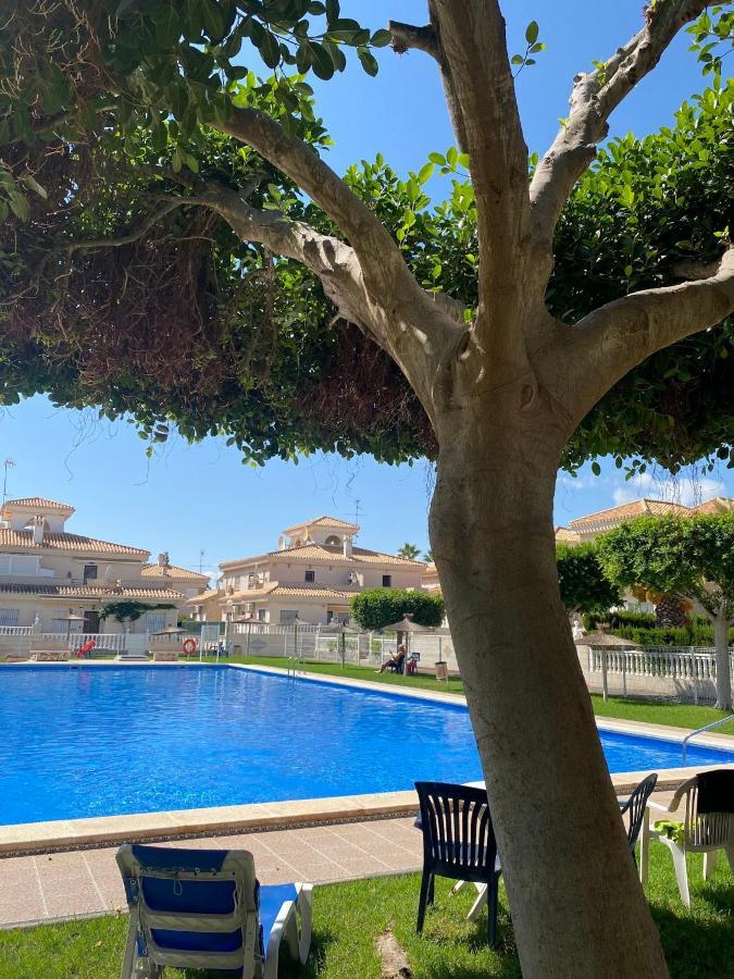 Greensuites La Zenia Torrevieja 플라야 플라멩카 외부 사진